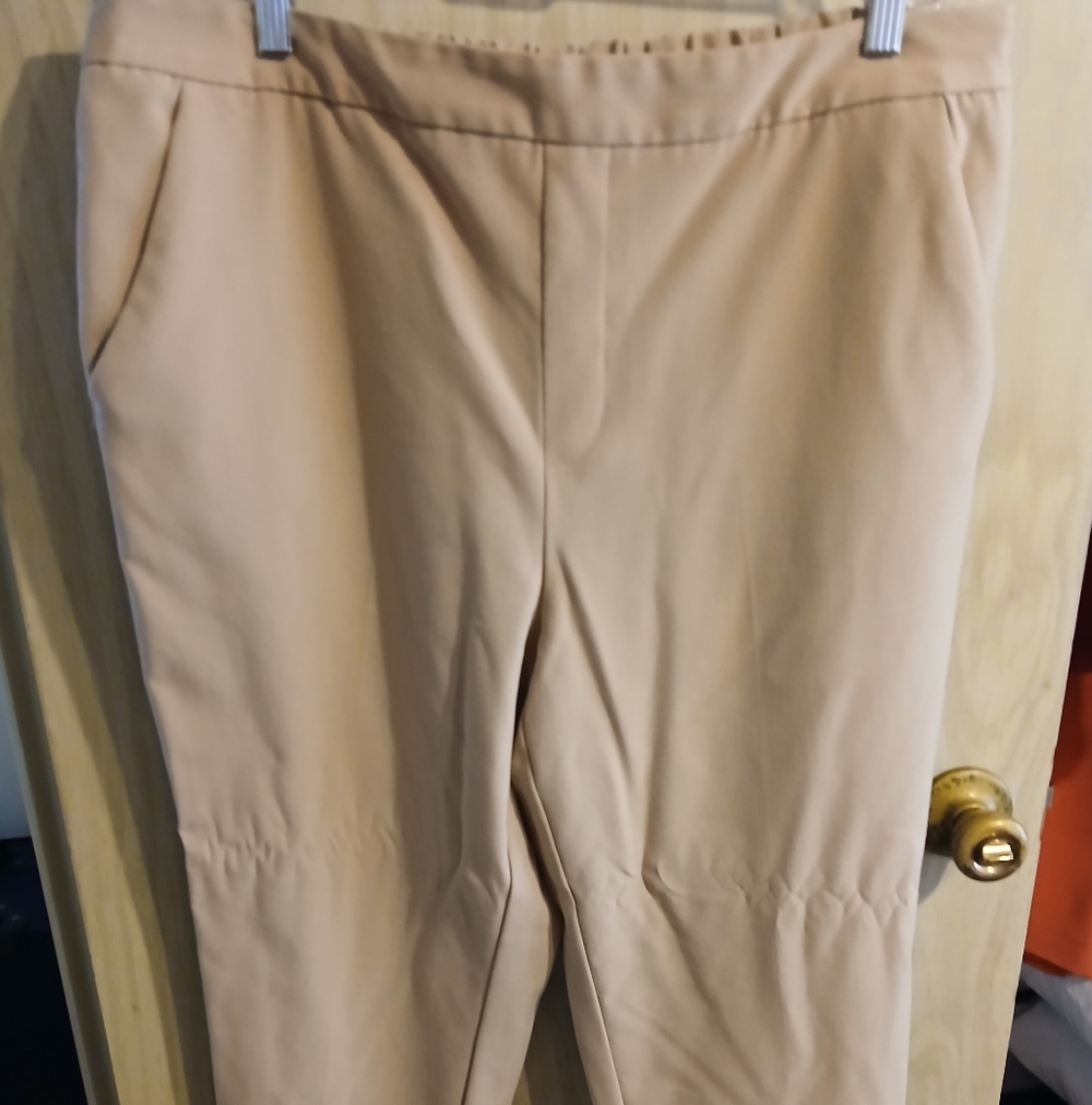 Time and Tru Beige Plus Size 16-18 Women's Elastic Waist Pants